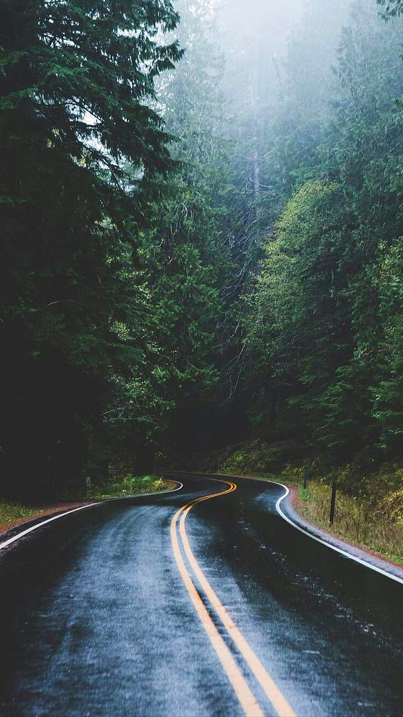 A Road, green, green trees, nature, rainy, rainy day, trees, HD phone wallpaper