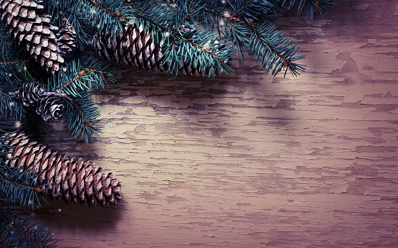 cones, New Year, branches, Christmas, HD wallpaper