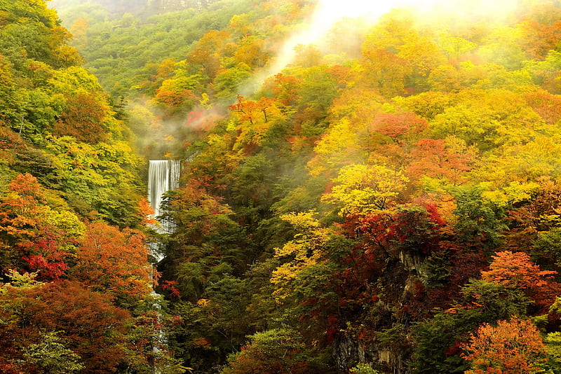 Misty autumn mountain, forest, fall, autumn, view, colors, bonito, trees, mist, mountain, waterfall, HD wallpaper