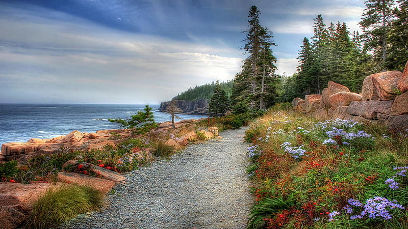 Coastal trail on Mount Desert Island, Acadia NP, Maine, sea, coast, landscape, clouds, trees, sky, usa, stones, HD wallpaper