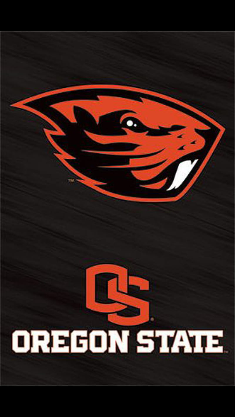 Oregon State beavers, football, HD phone wallpaper