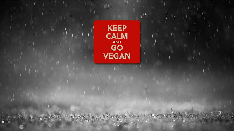 keep calm and go vegan, vegetarian, veg, vegan, HD wallpaper