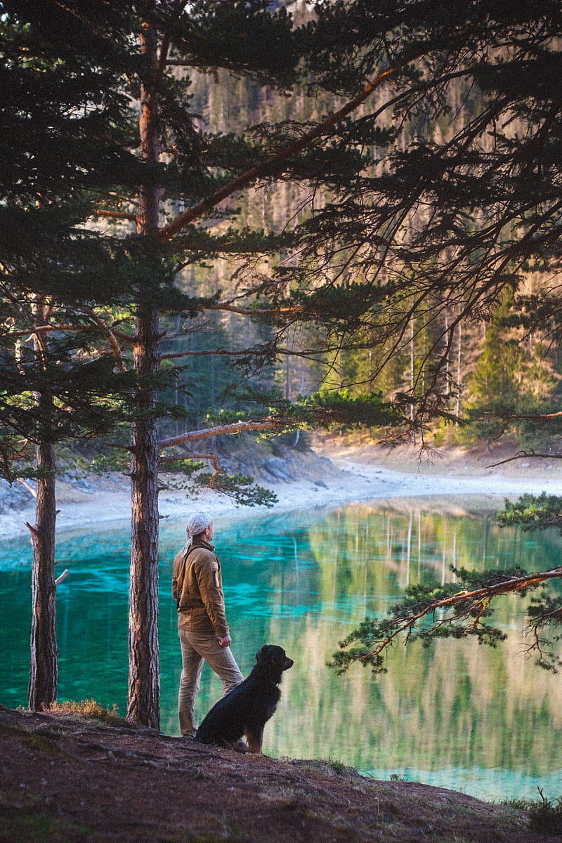 man, dog, lake, nature, walk, HD phone wallpaper