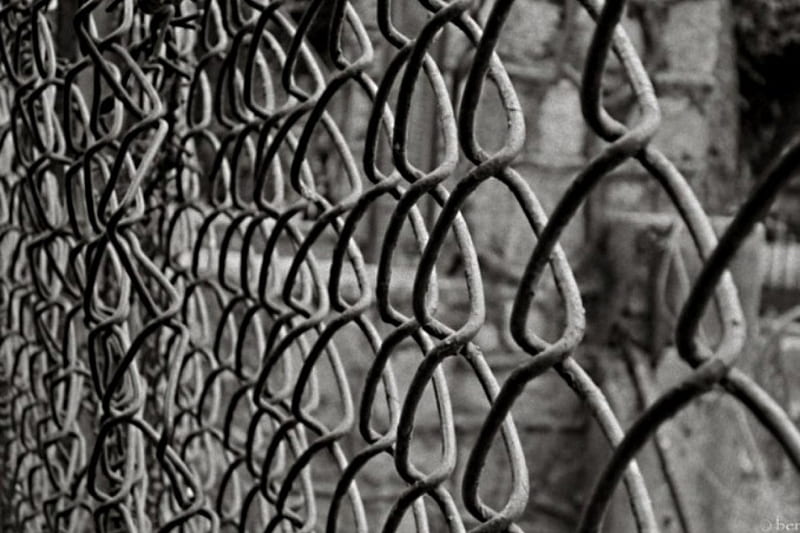 Wired fence, caged, chained, trapped, captivation, HD wallpaper