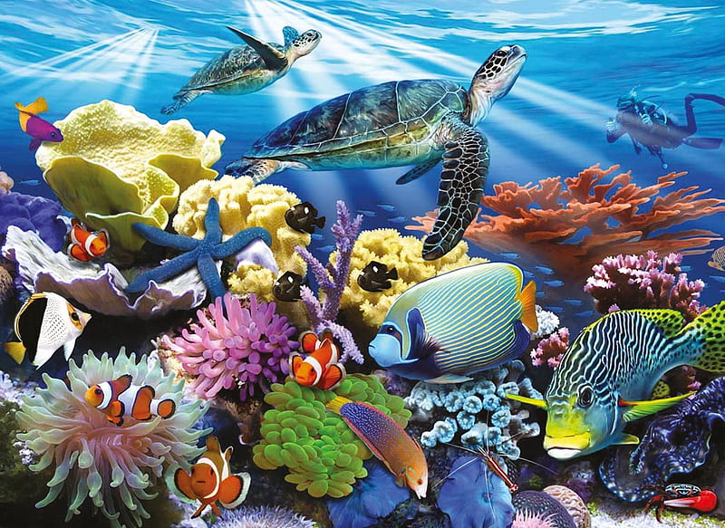 OCEAN TURTLES, turtle, fish, sea, ocean, HD wallpaper