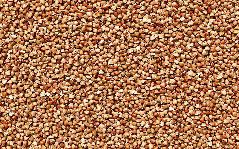 buckwheat textures, macro, food textures, buckwheat, cereals, groats textures, close-up, buckwheat backgrounds, HD wallpaper