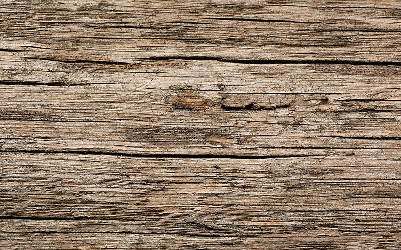 old dry wood, gray wooden texture, brown wooden background, old wooden boards, HD wallpaper