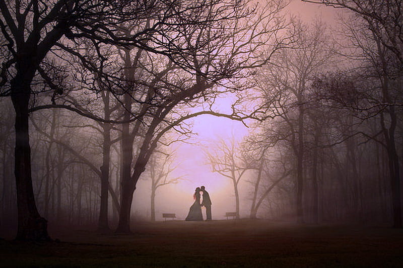 Rendezvous, forest, misty, trees, kiss, couple, HD wallpaper