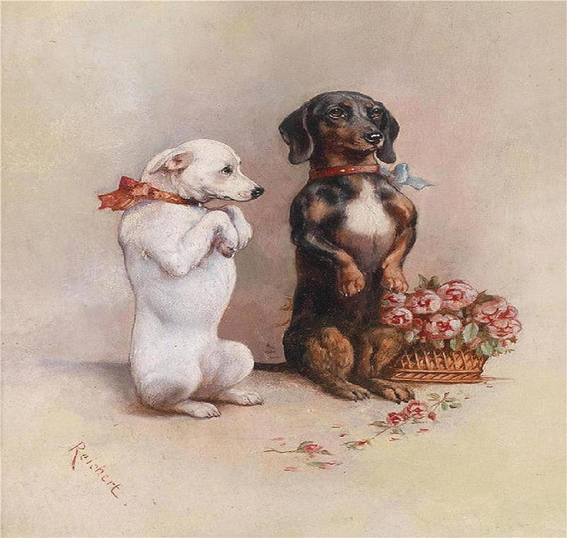 Begging dogs., cute, basket, flower, begging, dog, animal, HD wallpaper