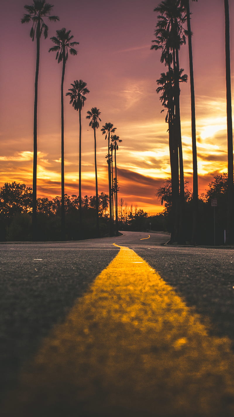 Cool Sunset Road View, sunset, road, nature, HD wallpaper | Peakpx