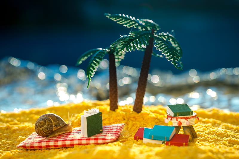 :), summer, yellow, blue, sea, palm tree, snail, cute, beach, vara, water, funny, HD wallpaper