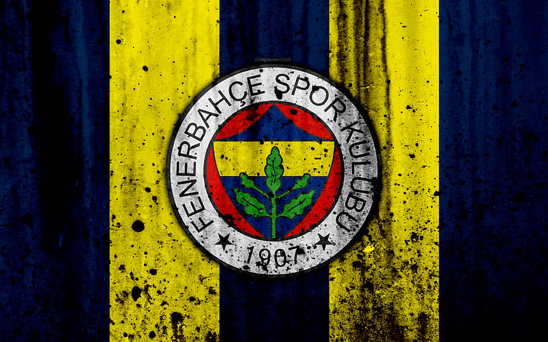 FC Fenerbahce Super Lig, logo, Turkey, soccer, football club, grunge, Fenerbahce, art, stone texture, Fenerbahce FC, HD wallpaper