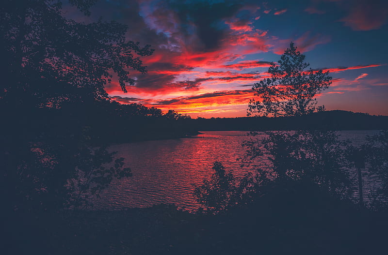 Red Evening Sunset Lake View From Forest Woods, lake, evening, nature, dawn, forest, sunset, HD wallpaper
