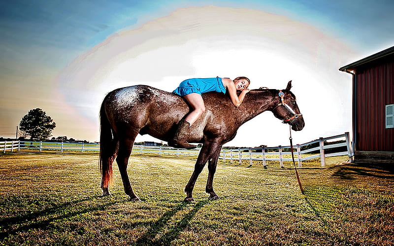 Rainbow on sale horse boots