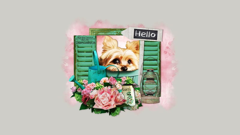 Hello!, rose, caine, card, fantasy, green, garden, maryline cazenave, pink, dog, HD wallpaper