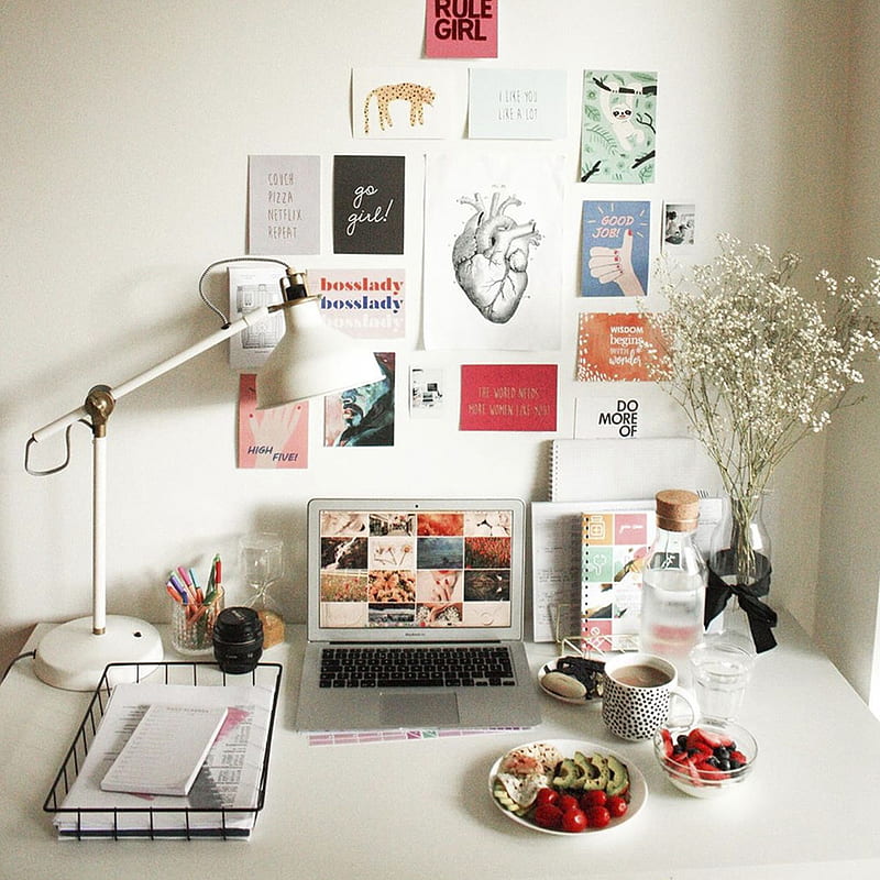 STUDY ROOM ORGANIZATION 101 : ORGANIZE YOUR WAY TO SUCCESS., Medical Study, HD phone wallpaper