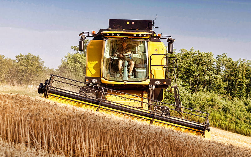 New Holland TC combine harvester, 2020 combines, wheat harvest, harvesting concepts, New Holland, HD wallpaper