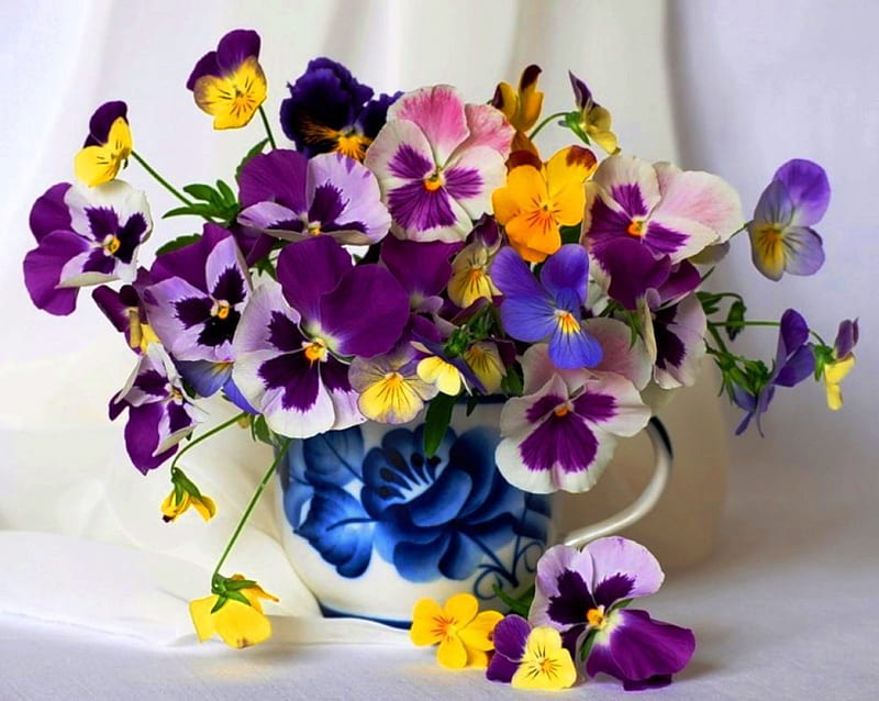 Colorful Pansies Colorful Pansies Flowers Colors Nature Bonito