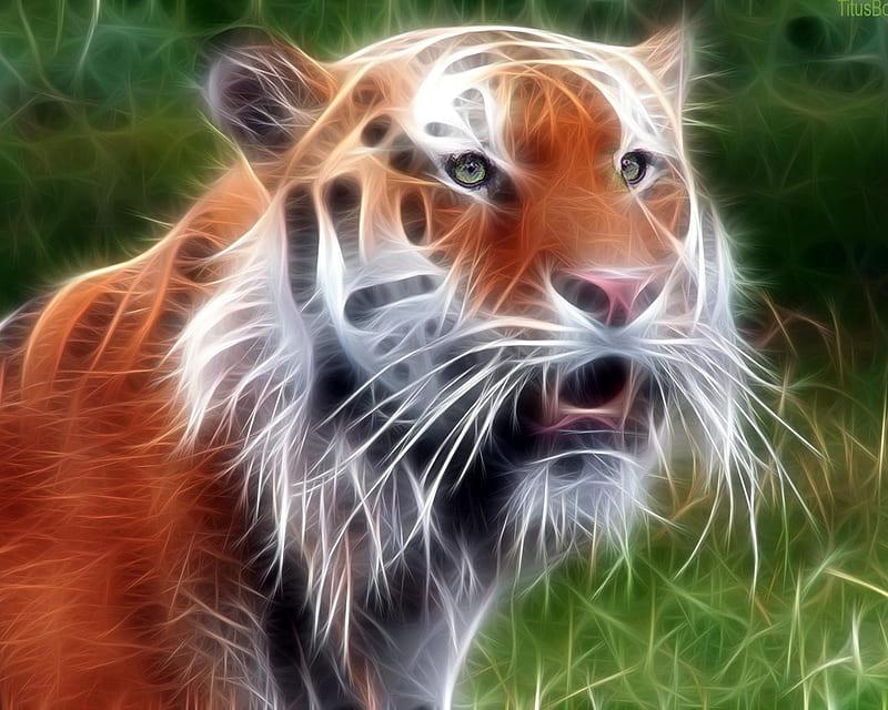 Tiger, 3d, wild, cat, big cats, animals, HD wallpaper | Peakpx