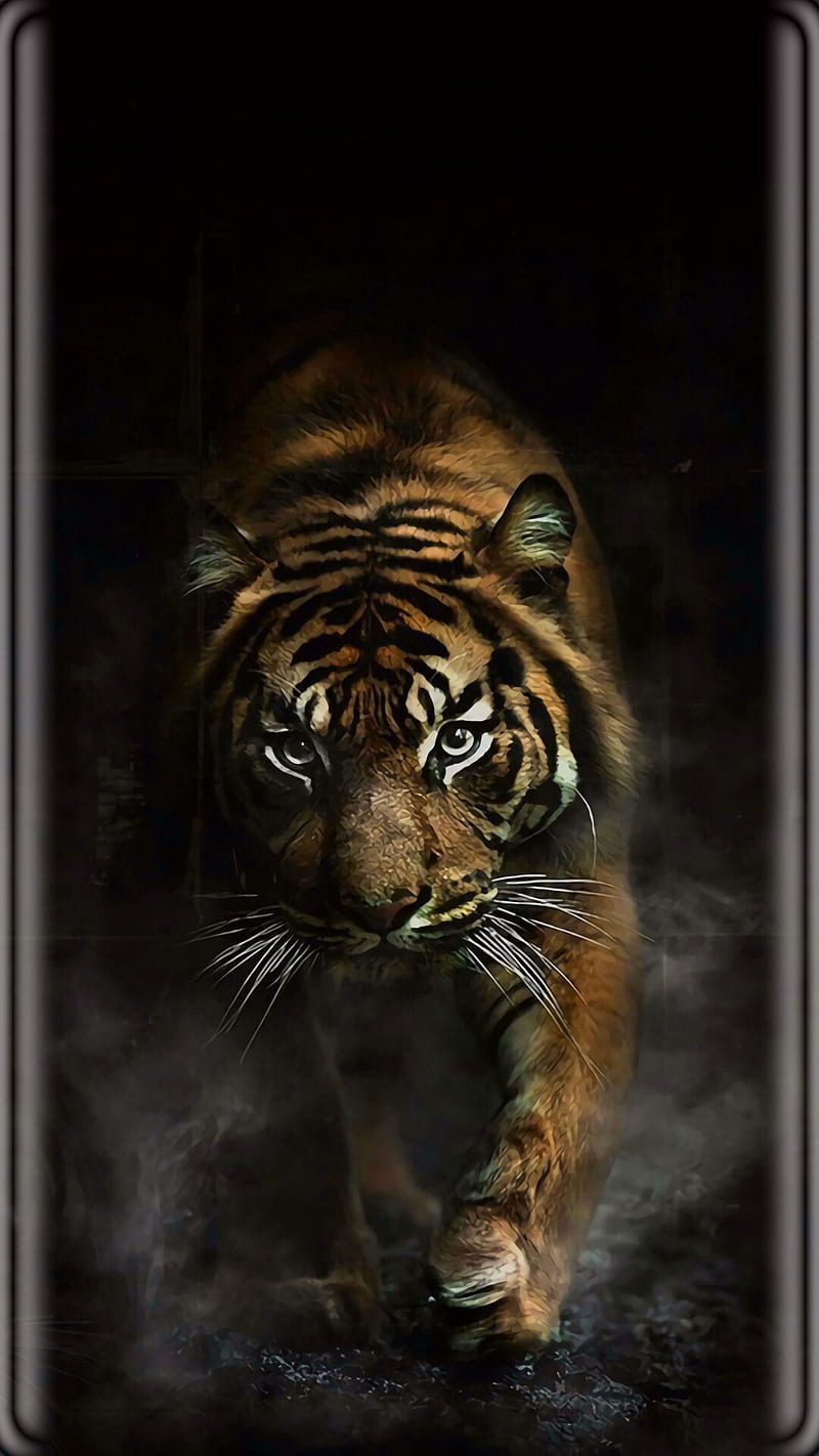 MAGIC TIGER, tigers, animals, wild, tiger, unique, predator, black, HD phone wallpaper