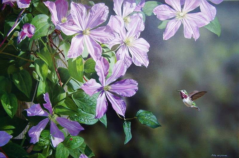 Hummingbird and Clematis, bird, painting, flower, blossoms, artwork, HD wallpaper