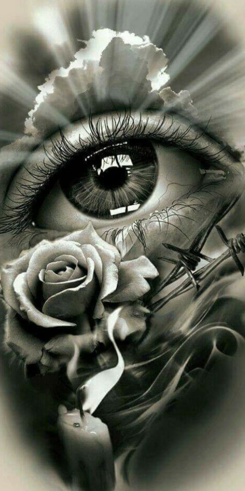 Rose eye, barbed wire, black and white, eye, eyeball, flower, rose, HD phone wallpaper
