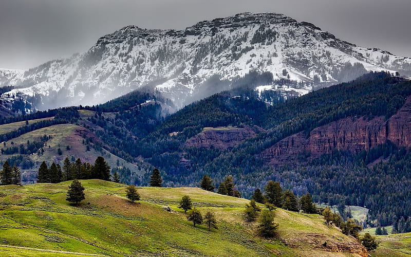 forest, rocks, mountains, mountain landscape, USA, Yellowstone National Park, HD wallpaper