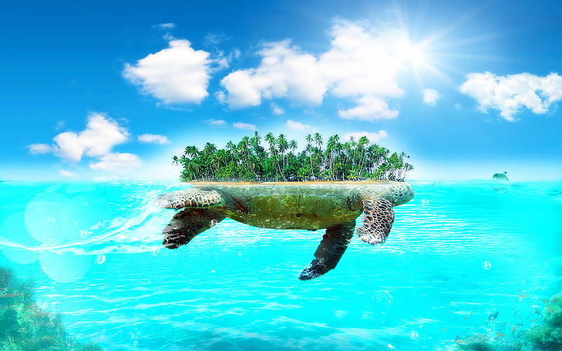 Turtle Island, ocean, turtle, island, sky, blue, HD wallpaper | Peakpx