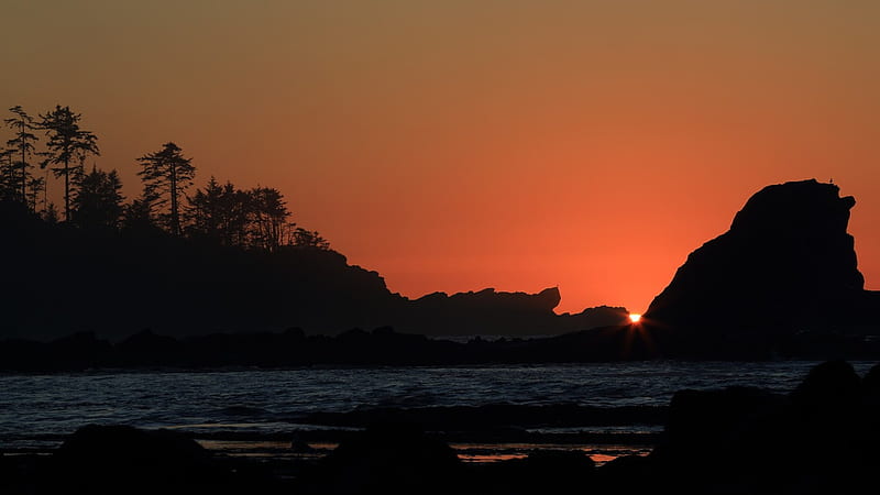 sunset at the silhouetted bay, beach, rocks, sunset, silhouette, trees, bay, HD wallpaper