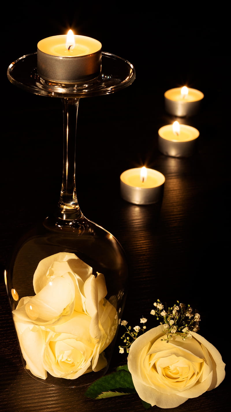 Tealight , candle, white rose, romantic, HD phone wallpaper