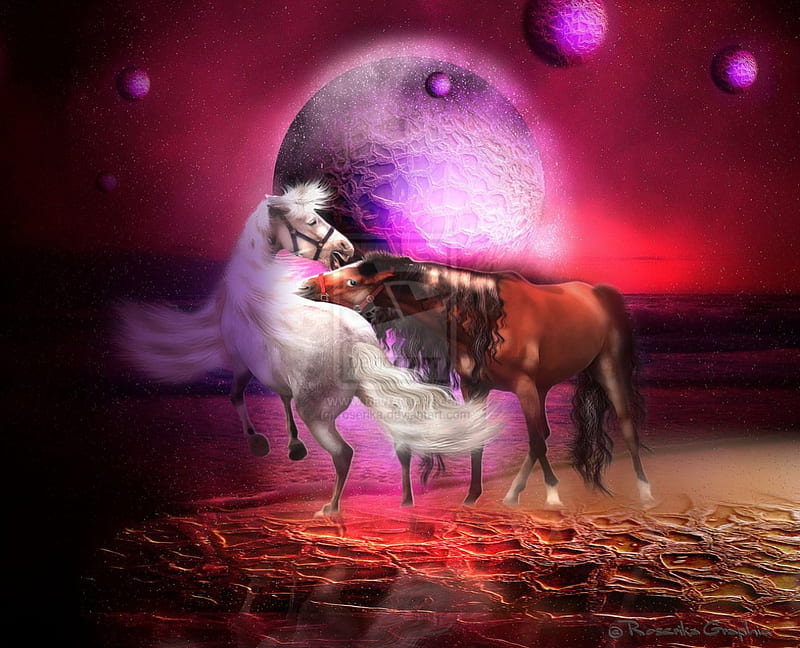 ~Game on the Beach~, on the beaches, amazing, wonderful, chevals, horsepower, creative pre-made, digital art, sweet couple, horses, manipulation, powers, plants, backgrounds, game on the beach, animals, HD wallpaper