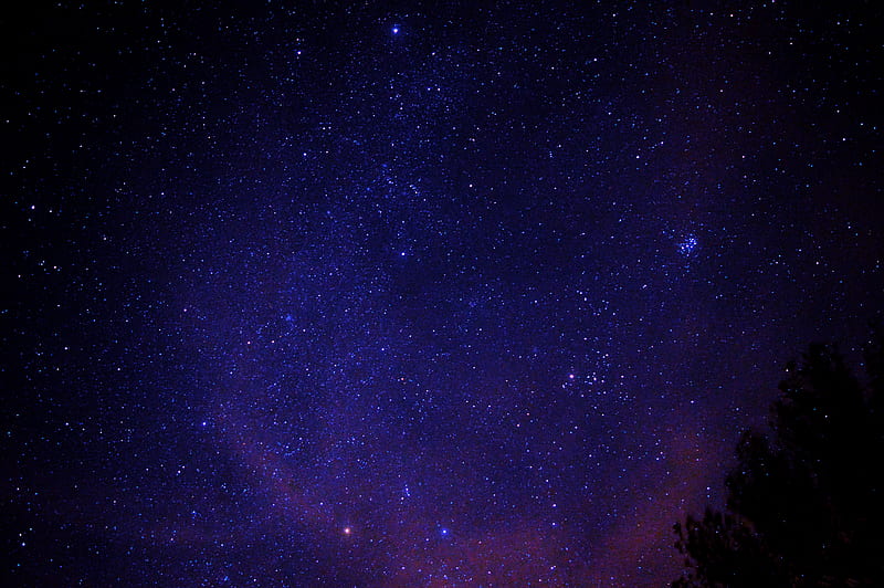 starry sky, stars, tree, space, HD wallpaper