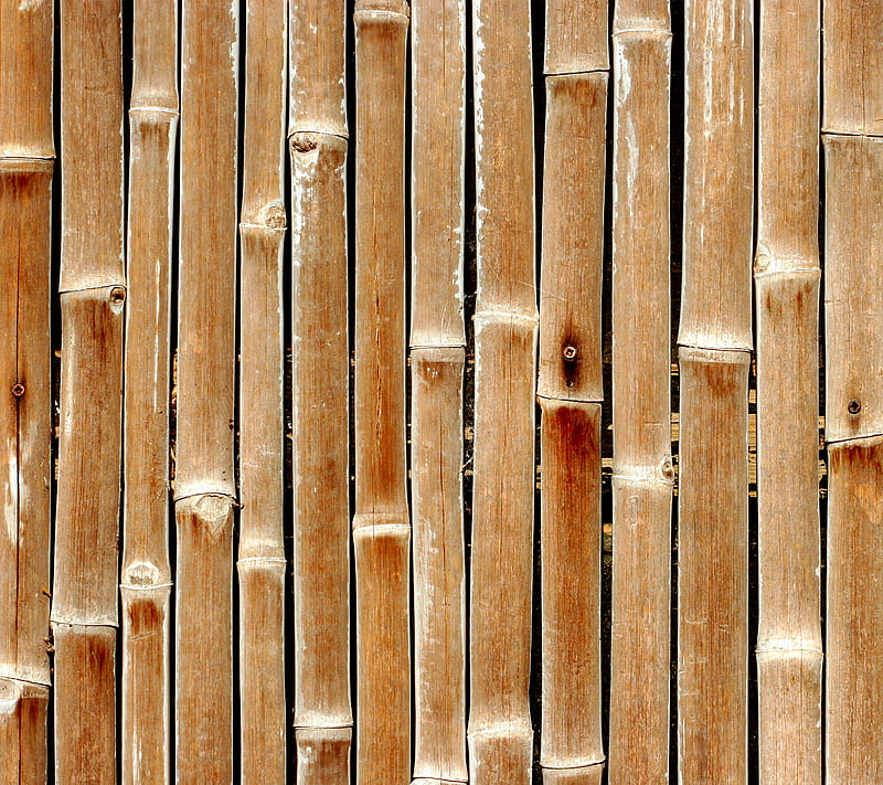 Raw Wood, abstract, flat, texture, warm, HD wallpaper