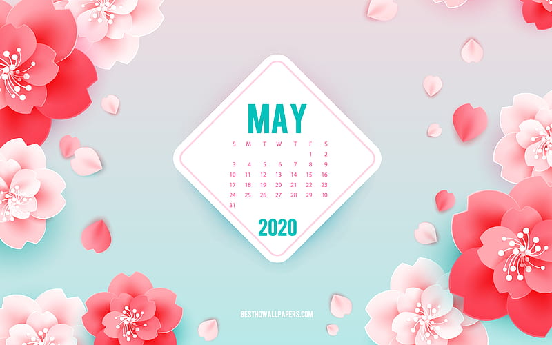 2020 May Calendar, background with flowers, creative art, May, 2020 spring calendars, black and white striped background, May 2020 Calendar, purple flowers, HD wallpaper