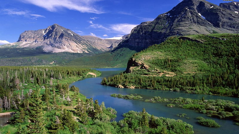 glacier national park montana, forest, river, cliffs, mountains, HD wallpaper