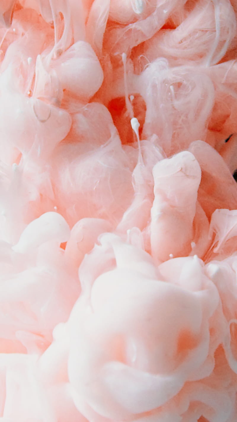 Pink and White Flower Petals, HD phone wallpaper