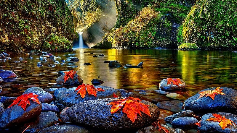 Beginning Autumn, fall, river, leaves, waterfall, trees, colors, stones, HD wallpaper