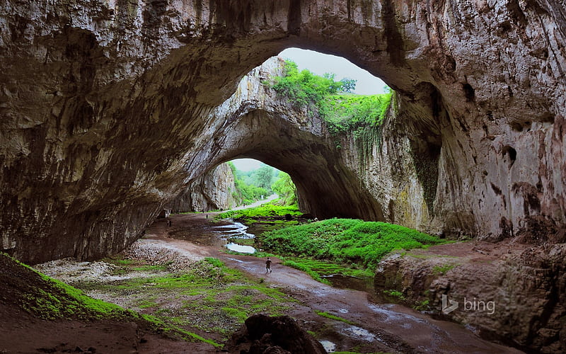 Rock cave greenery-2015 Bing theme, HD wallpaper