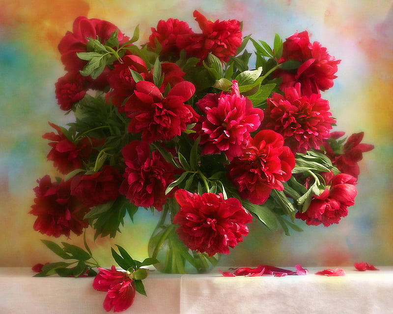 Flores rojas, florero, peonias rojas, flores, ramo, Fondo de pantalla HD |  Peakpx