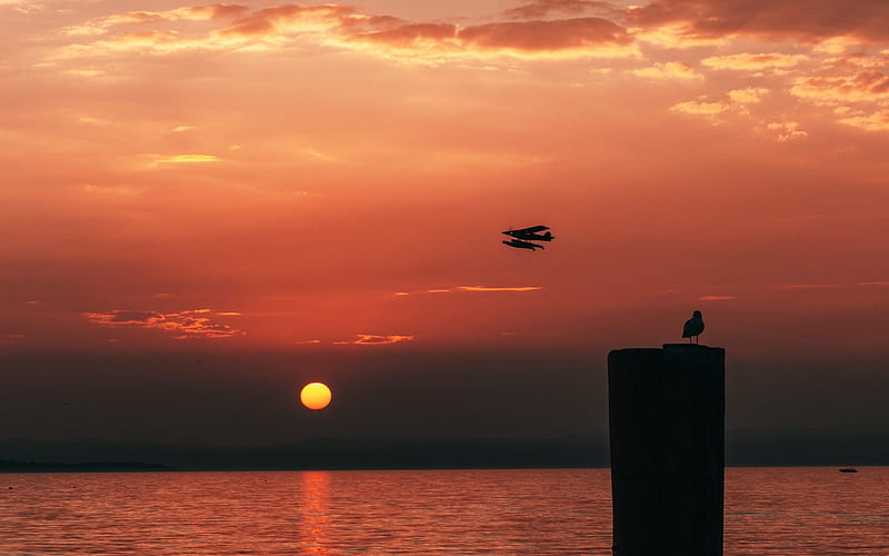 Sunset with Seaplane, seaplane, sunset, bird, sea, HD wallpaper