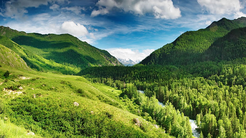 Lush Green Landscape, forest, mountains, nature, trees, sky, landscape, HD wallpaper