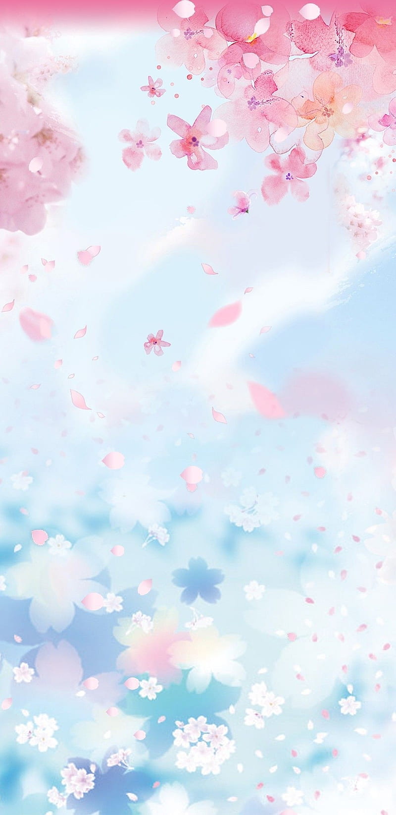 Sakura & Clouds Pink Anime Wallpapers - Sakura Wallpaper Phone