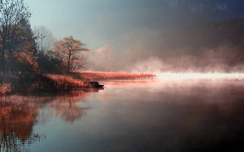 Lake Mist-Landscape, HD wallpaper