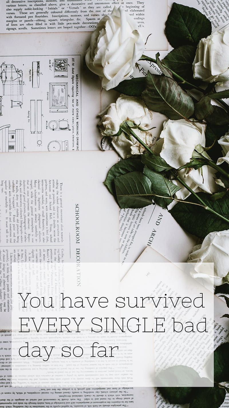 Survived, quote, rose, sayings, signs and sayings, white, white rose, HD phone wallpaper
