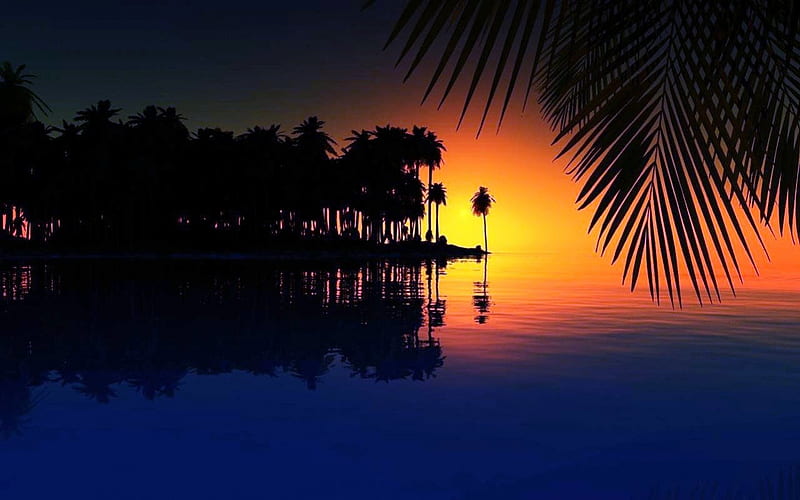 Tropical Sunrise, Palm trees, beaches, ocean, sunset, Sunrise, HD ...