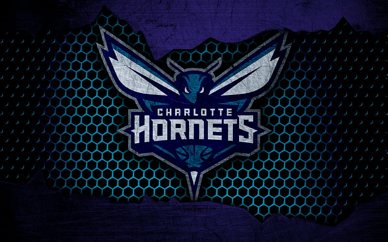 Charlotte Hornets logo, NBA, basketball, Eastern Conference, USA, grunge, metal texture, Southeast Division, HD wallpaper
