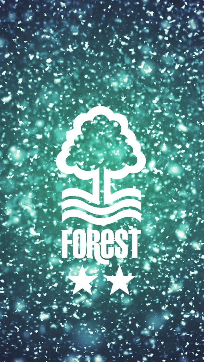 Nottingham Forest, football, snow, winter, HD phone wallpaper