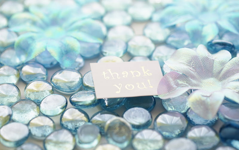 Thank you, glass, words, marbles, hamd made petals, card, HD wallpaper