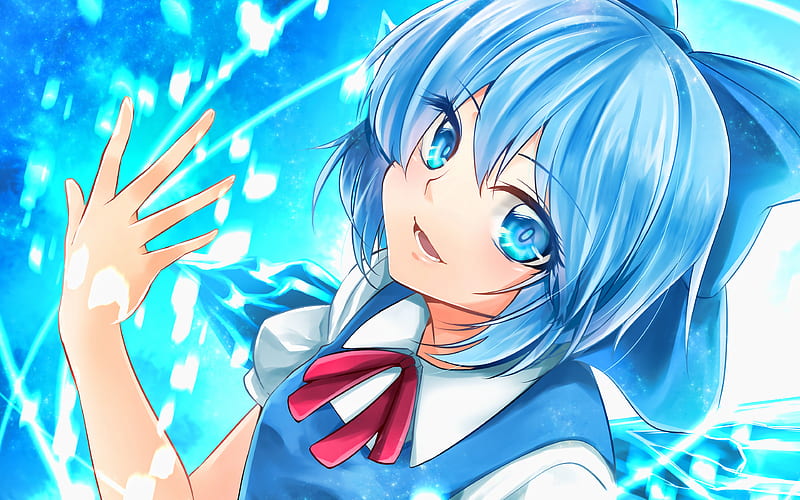 Cirno girl with blue hair, Touhou characters, manga, anime characters,  Touhou, HD wallpaper | Peakpx