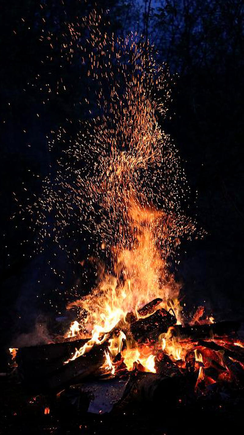 Fire, cold, nature, relaxation, winter, wood, HD phone wallpaper